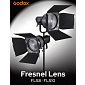 Godox Fresnel FLS8